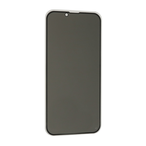 Folija za zastitu ekrana GLASS PRIVACY 2.5D full glue za Iphone 13/13 Pro/14/16e/17e (6.1) crna